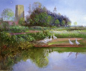 Geese at Sundown